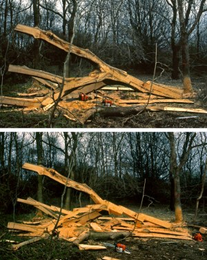 David Nash 1989 - Courtesy David Nash